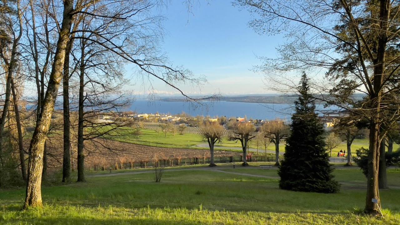 Rosmarin - Kuschelige Fewo - Romantik & Entspannung Im Whirlpool Auf Privater Terrasse, Ruhe & Hund Willkommen - By Ferienwohnenamsee - Иберлинген Экстерьер фото